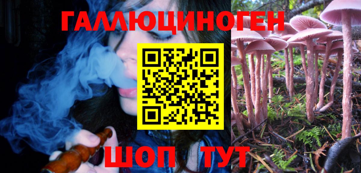 Псилоцибиновые грибы Cubensis Спасск-Дальний